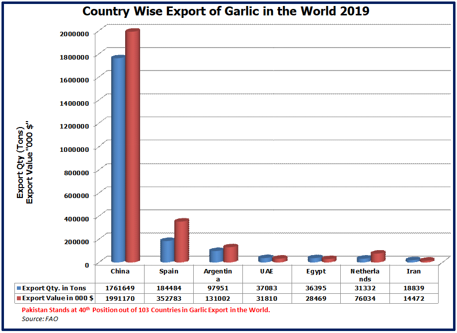 Export of Garlic